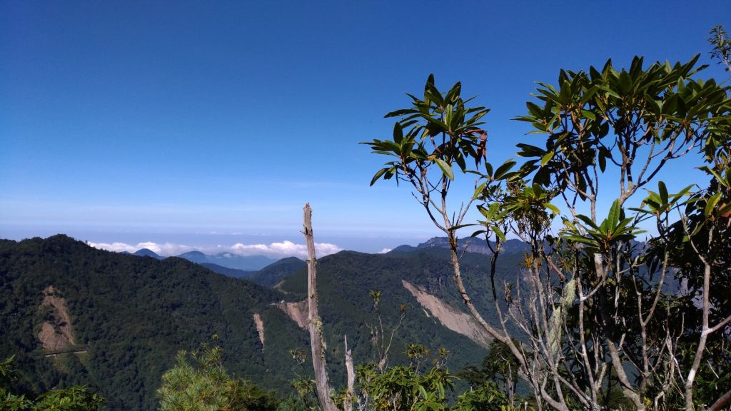 玉山林道登石山+石山引水道封面圖