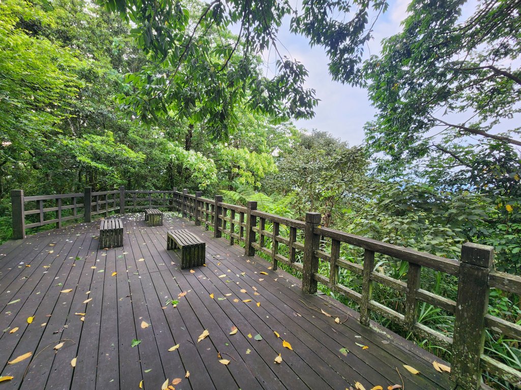 20250427大山背山田寮山毬子山騎龍山_2933633