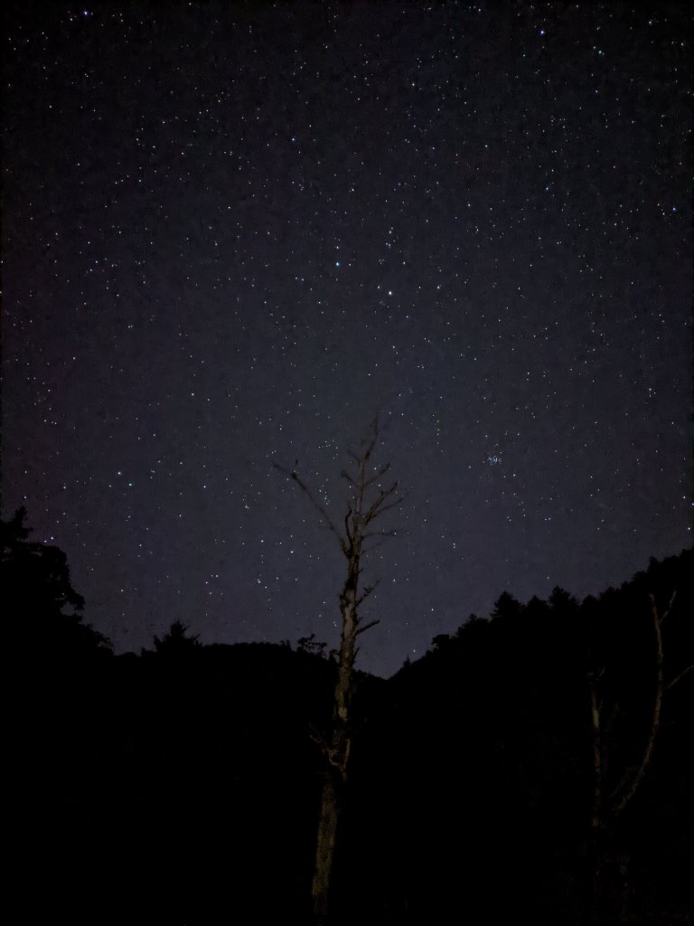 【高雄桃源】小關山林道上小關山_1275162