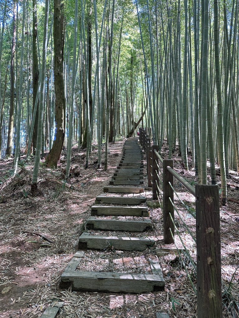 五元二角、雲嶺之丘 、番子田山、木馬古道_2451148