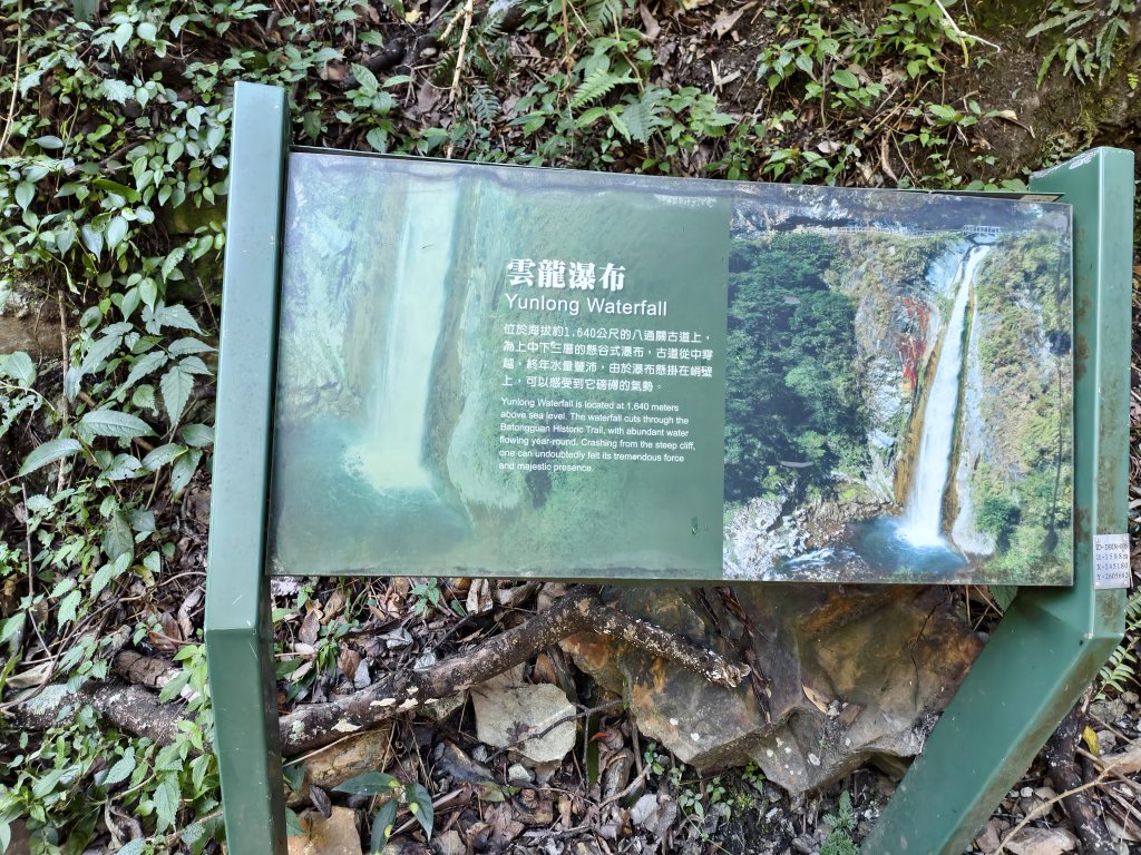 [玉山尋寶任務-07/12] 2025_0824 八通關雲龍瀑布步道_2870706
