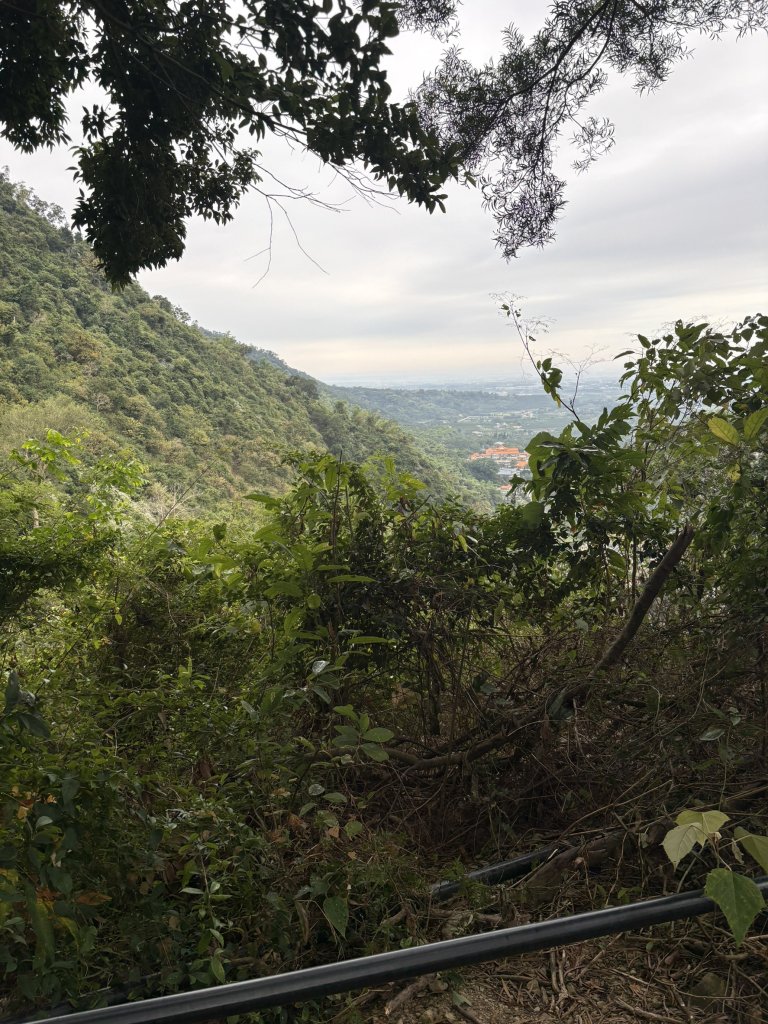 20251227尾寮山登山步道_2970488