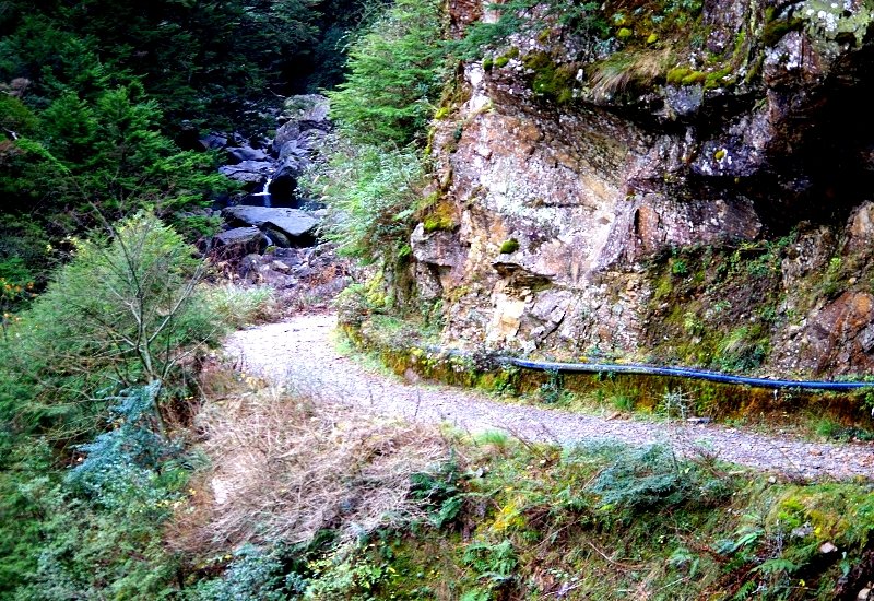 山風15度C吹拂 ~ 合歡溪 步道_1551794