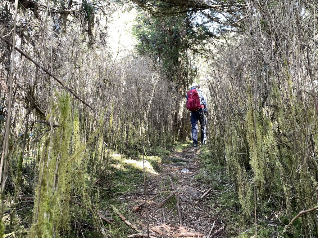 魔幻森林三星山與三星池_1658263