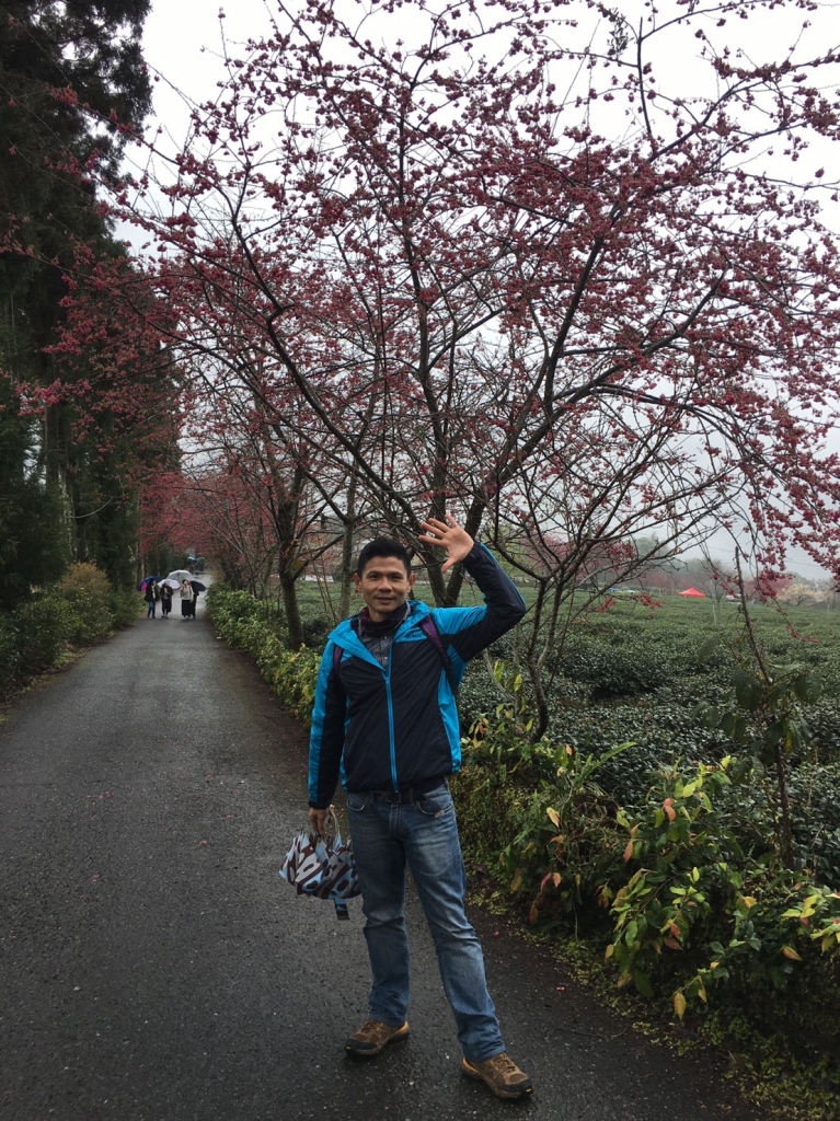 離開舒適圈 雨中賞花 霧中看山之草坪頭.東埔彩虹瀑布遊記_265924