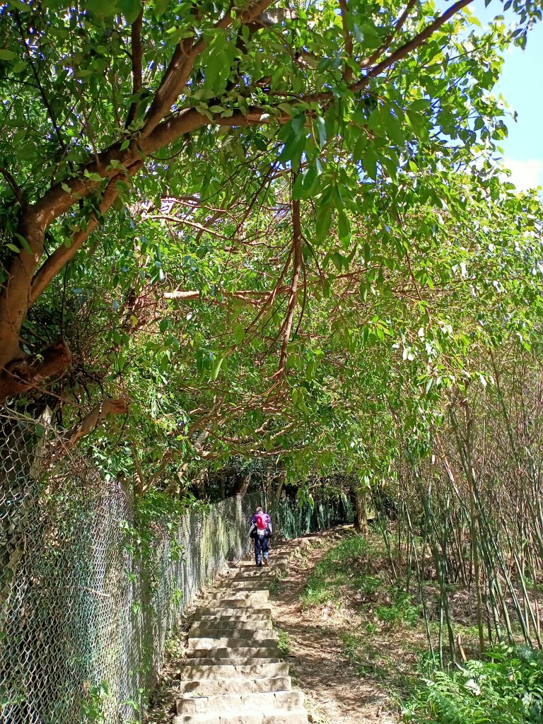 天母水管路步道(天母古道)、劍潭公園、八二三砲戰紀念公園【南山神壽任務】_1961011