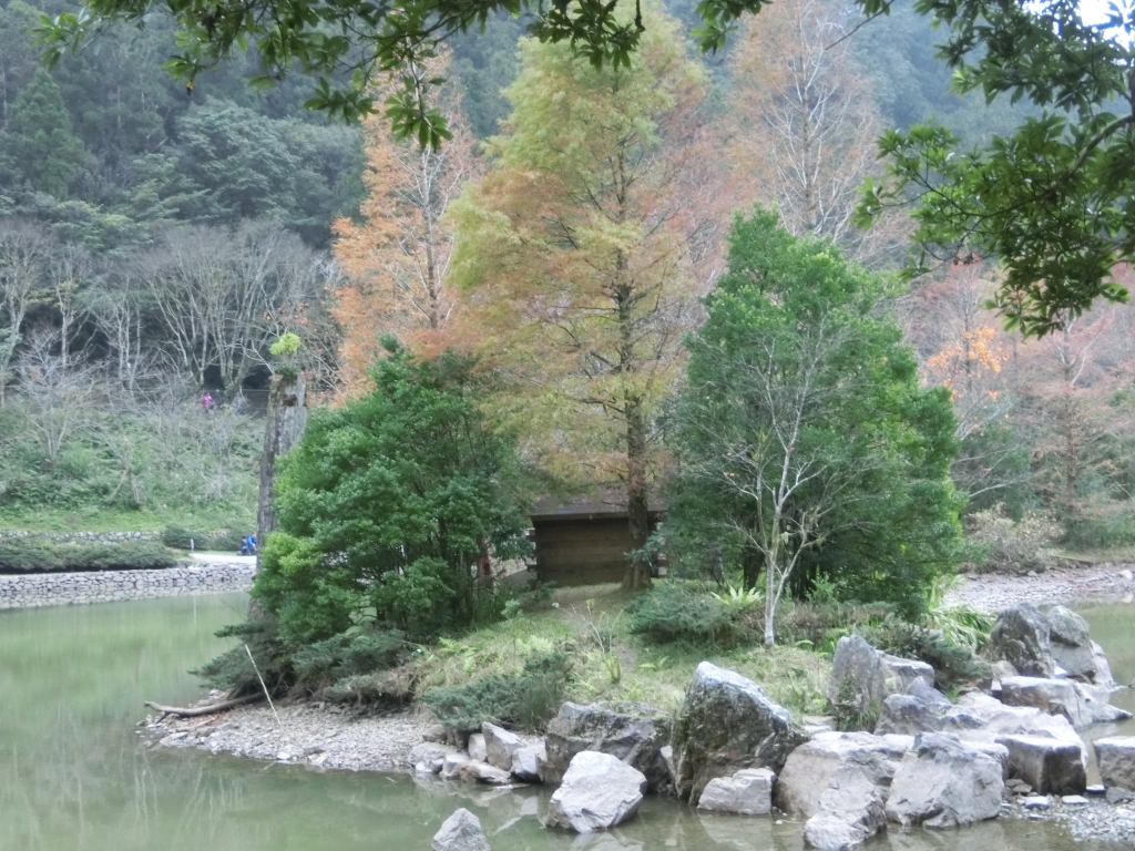 棲蘭山莊．神木園．明池_93509