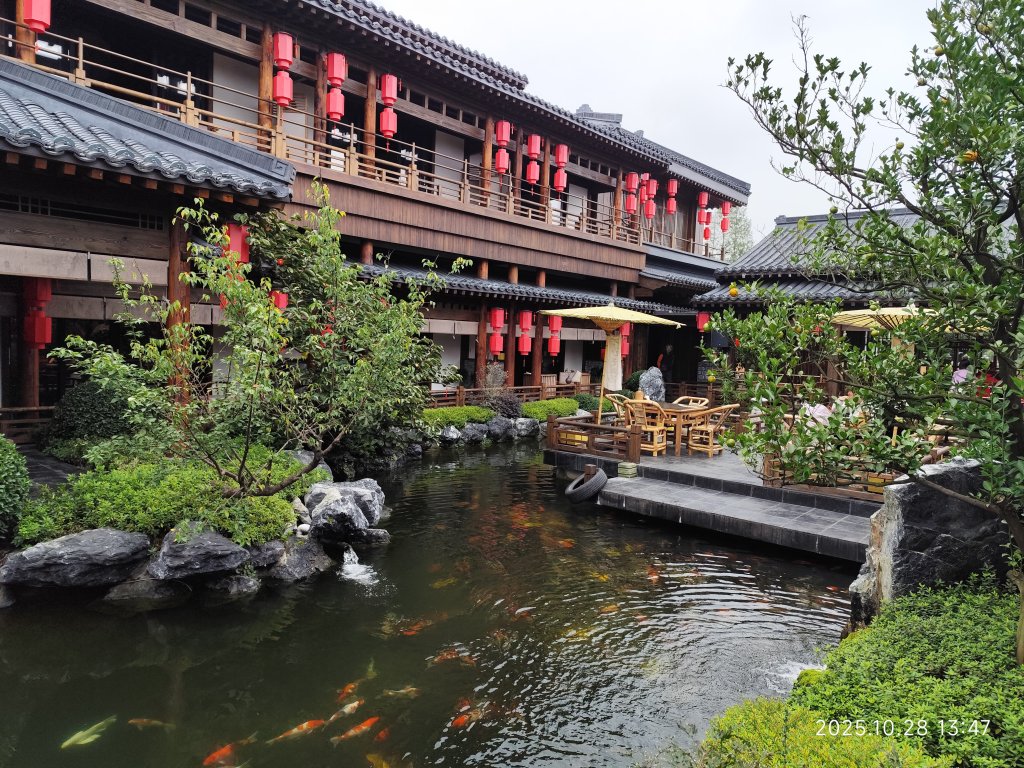 四川青城山→樂山市_2938243