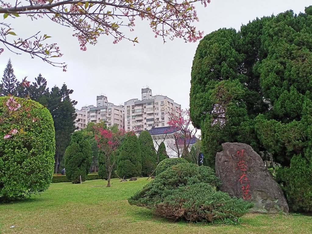 自由廣場、國家戲劇院、國家音樂廳、中正紀念堂賞櫻及尋寶趣【齊心鞋力尋寶去】_2038804