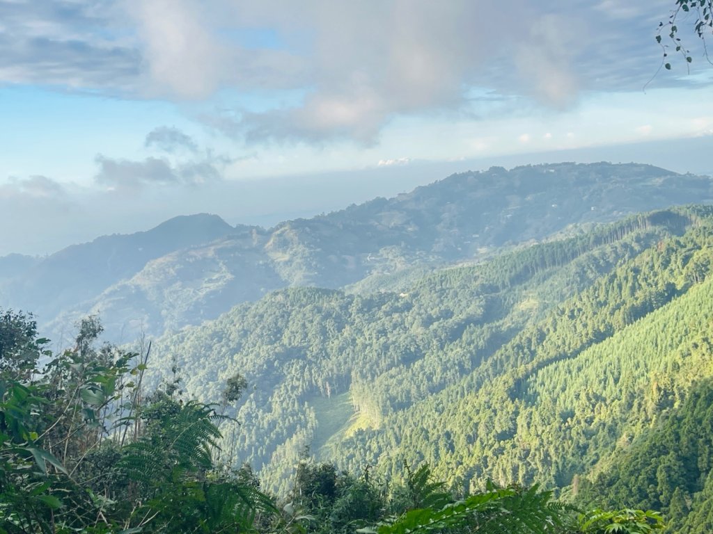 1141116油羅山_2946466