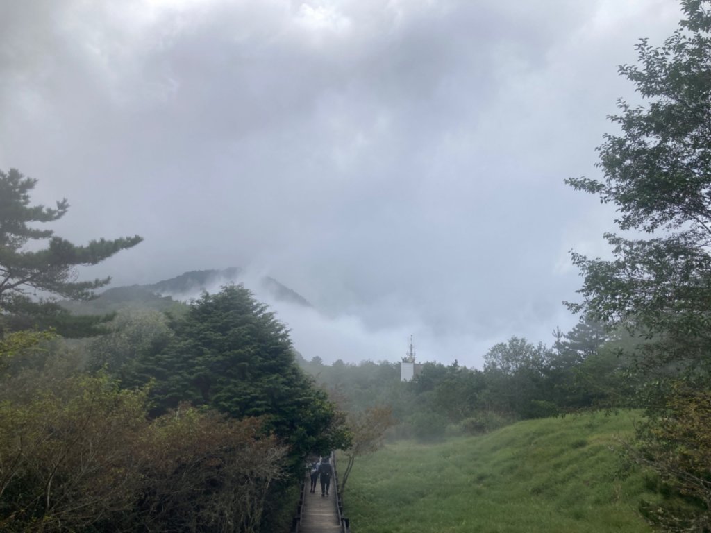 雲霧步道_2316076