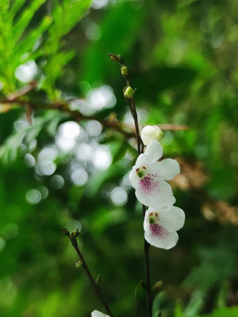 滿月圓_2964520