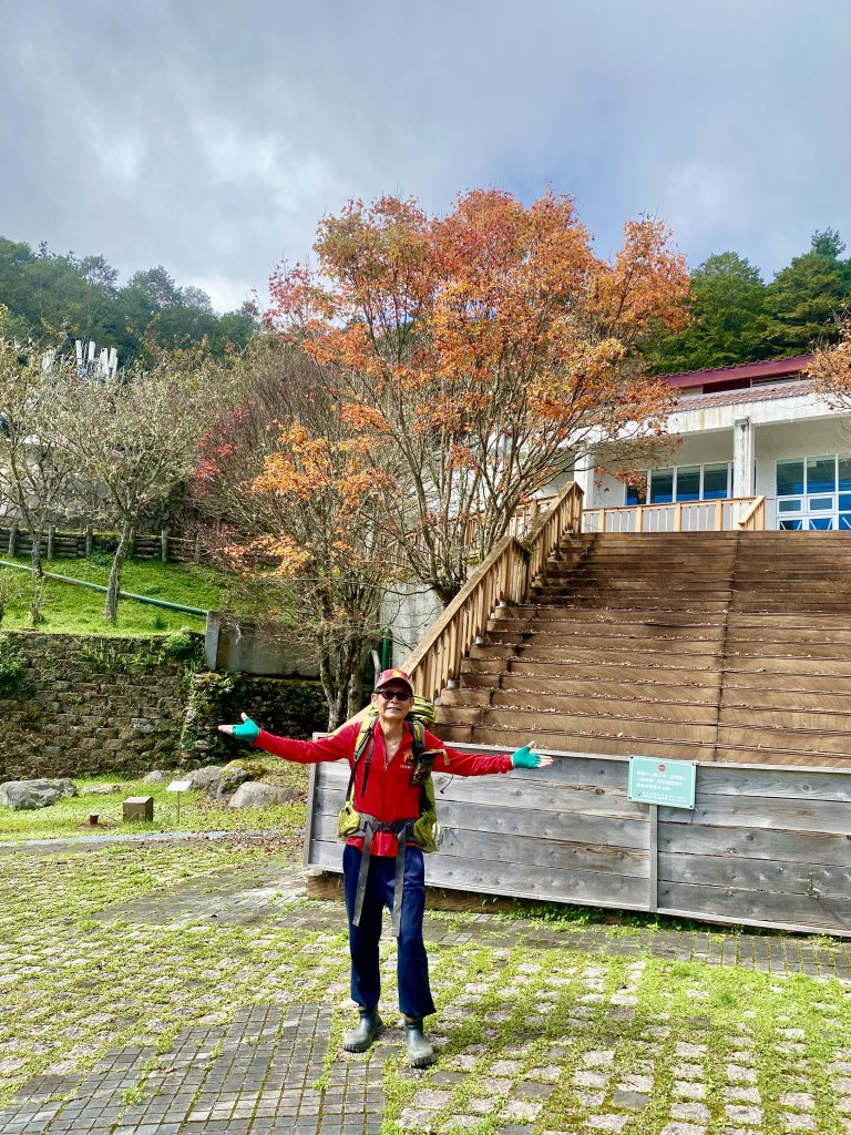 啟動高山度假模式  波光瀲灩嘉明湖_2651908