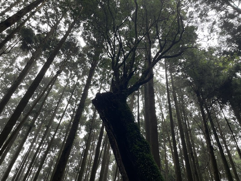 民都有山_2877341