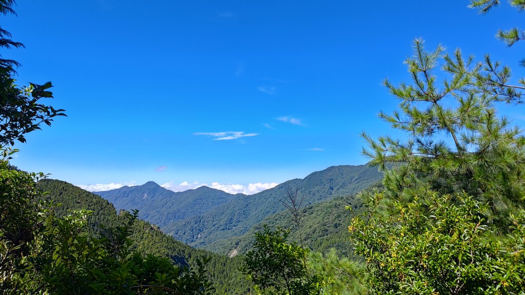 榛山景觀平台_2918105