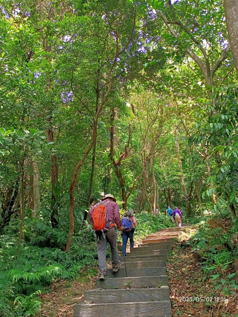 【臺北大縱走 7】2-2 大成殿步道→指南宮竹柏參道→終南亭→政大→大地工程處領取全程完成證書_2139974