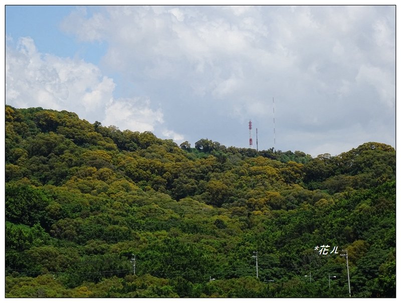 大肚環保公園登山步道_1001368