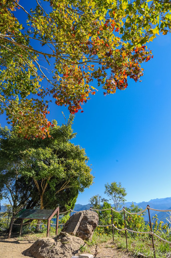 [苗栗]馬那邦山_2355167