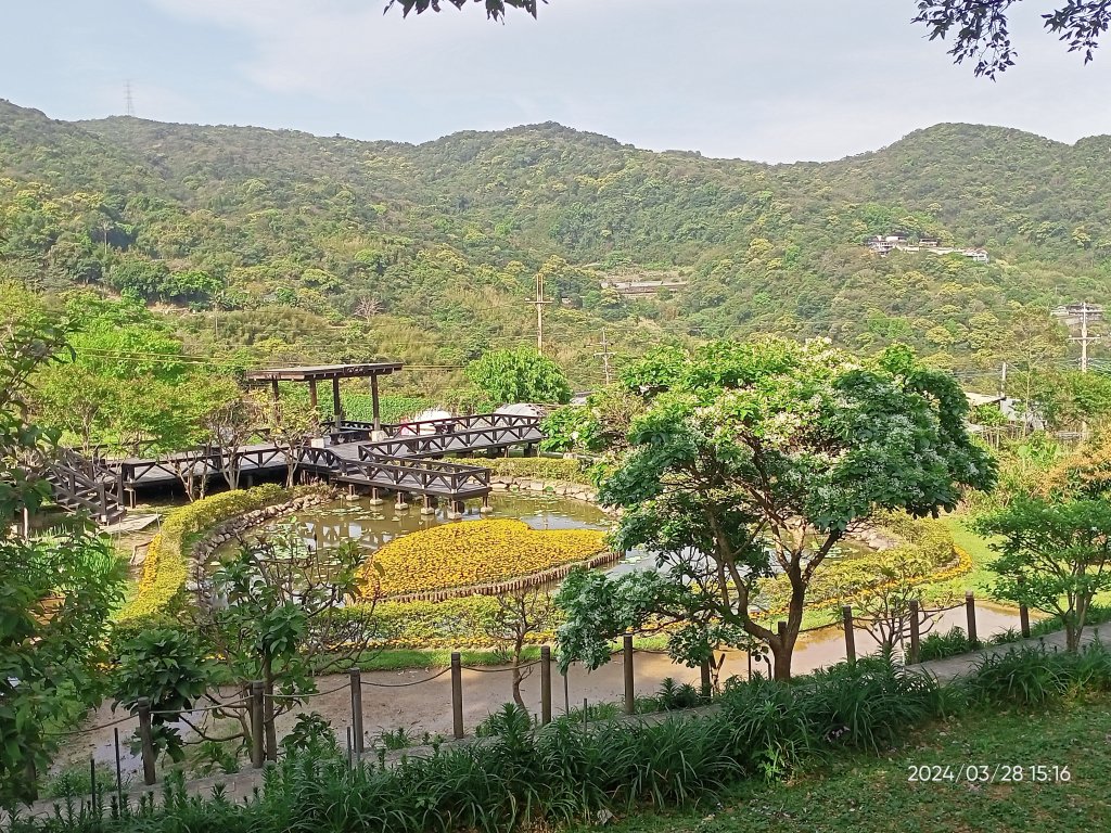 【臺北大縱走4】風櫃嘴→雙溪溝古道→五指山古道→大崙頭山北面步道→許願步道→圓覺寺步道→大溝溪→大湖_2469123