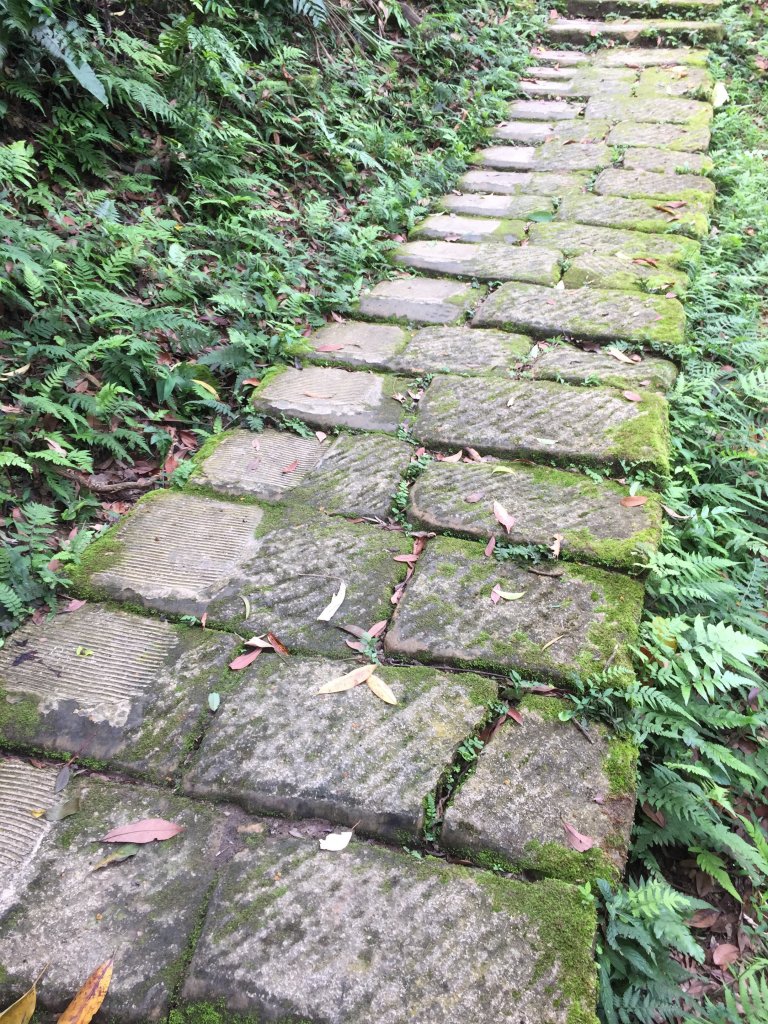 承天禪寺-天上山步道_754392