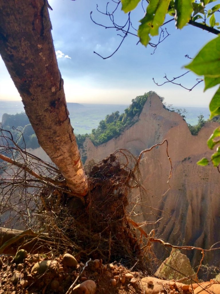 2018-09-25苗栗三義火炎山步道_444122