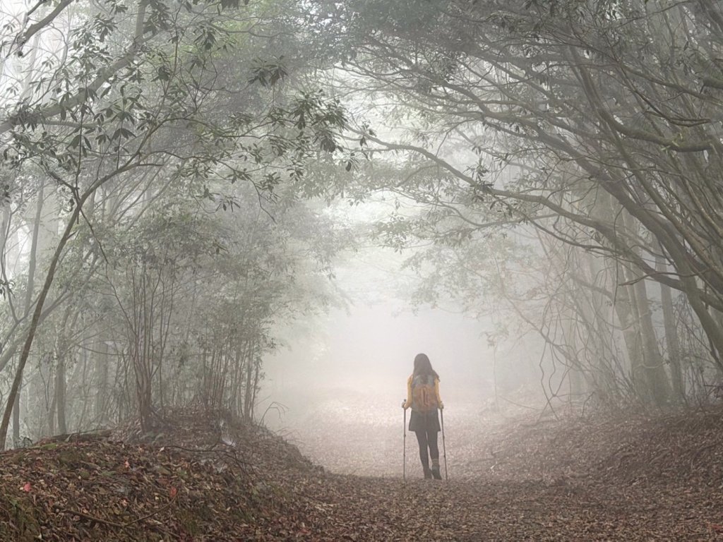 雪霸國家公園 雪見遊憩區 東洗水山_2928558