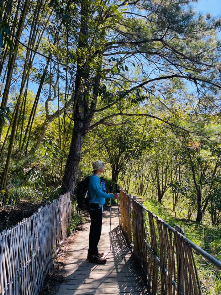 1140825司馬庫斯新巨木園區-司立富瀑布-部落觀景台_2871160