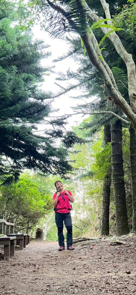 馬那邦山（珠湖登山口）_2934013