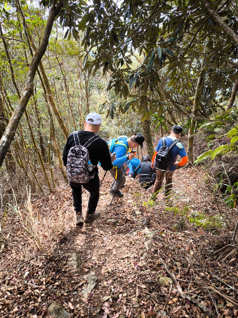 2026-01-18 埔里關刀山_2989617