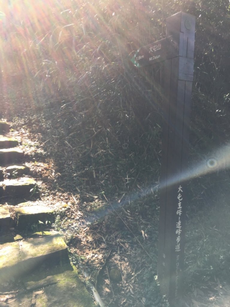 20200202_大屯山群峰_821884