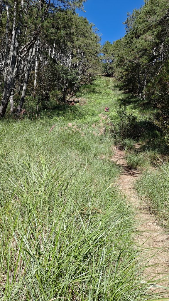 雪劍縱走_2960629