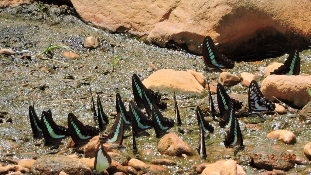 就是喜歡這個藍天白雲的FU_1030341