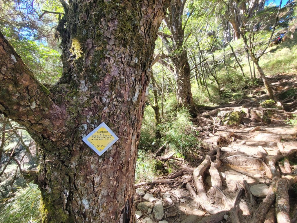 20231103 南一段四天_2355774