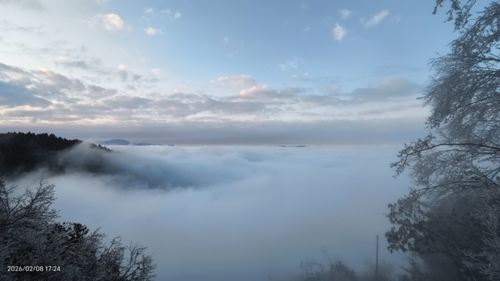 #霧淞 #雲海 #雲瀑 #霧虹 #太平山 #望洋山 #觀雲步道 #翠峰道路  2/8_2995308