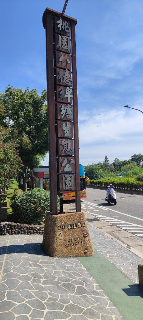 八德埤塘生態公園封面圖