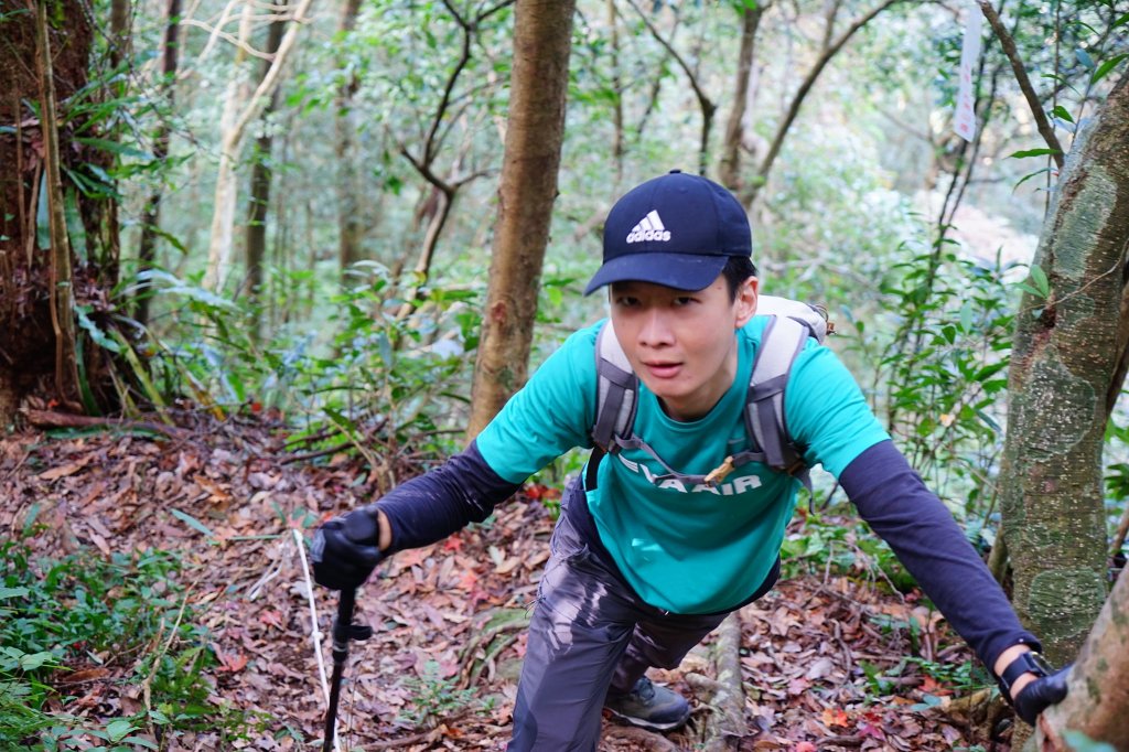 新竹關西鎮 水田林道之貴妃&那結山連走_1539678