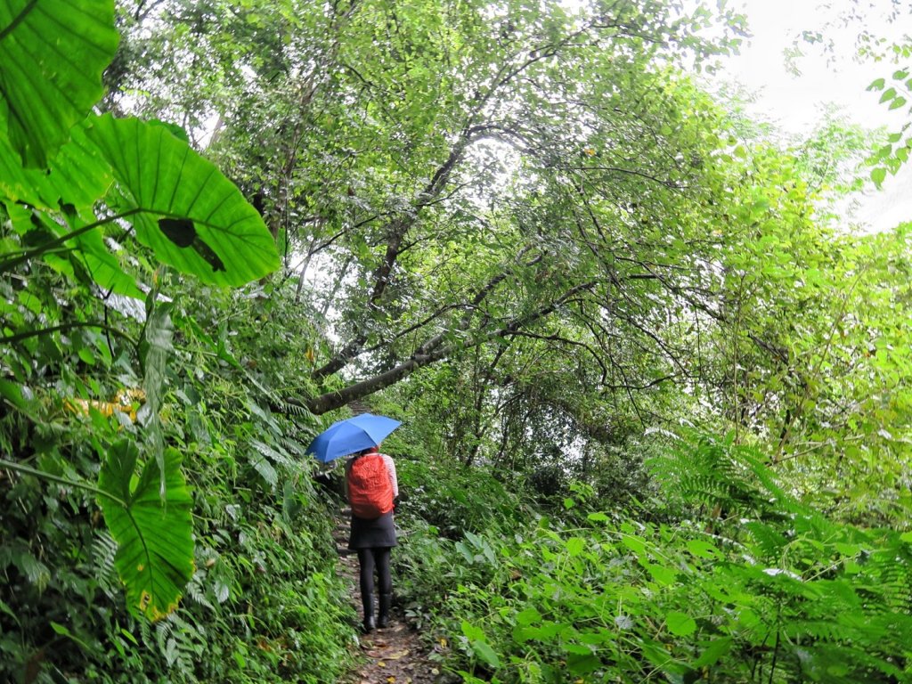 石夢谷 - 山、水、石、樹之美_1142728