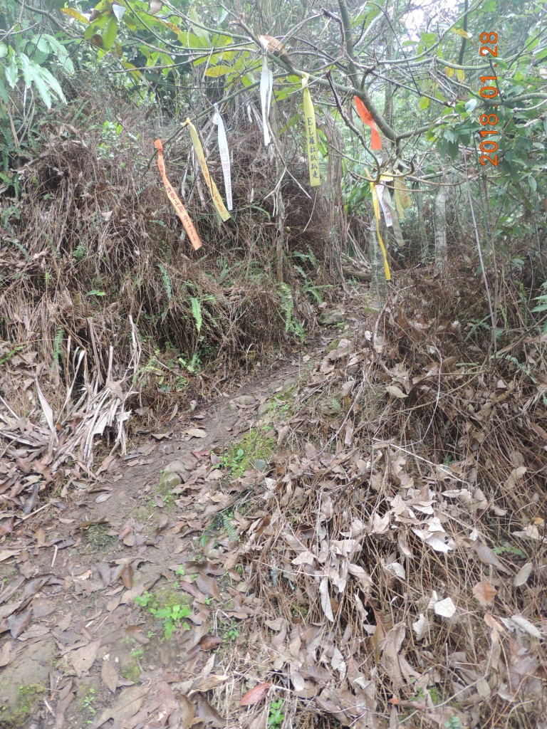 登九份二山_256842