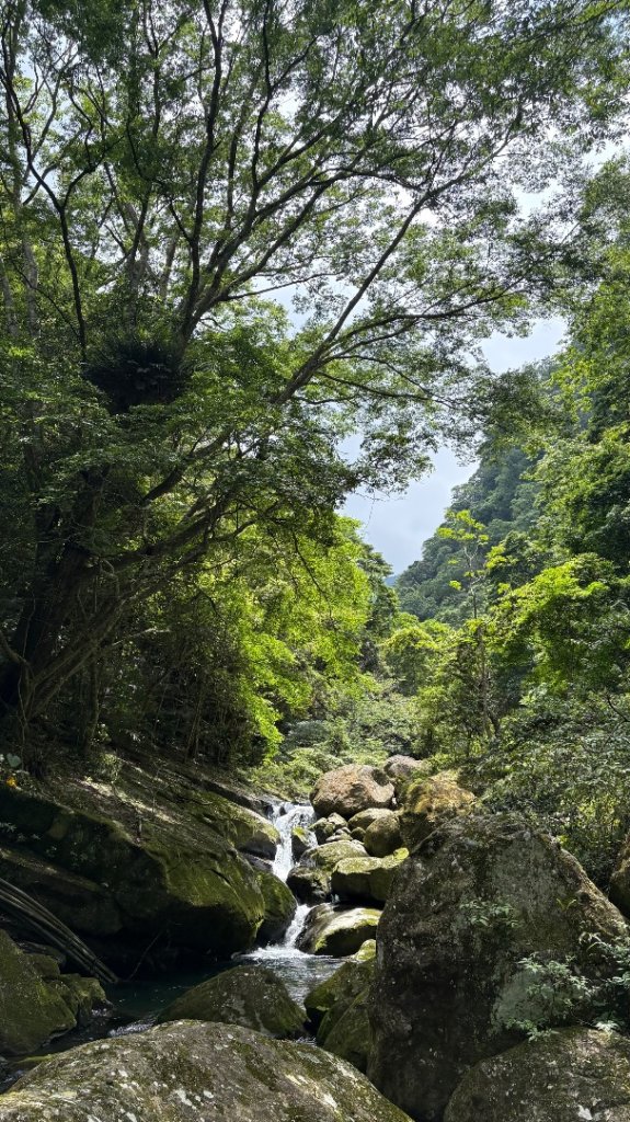 戲水（鴛鴦_2786678