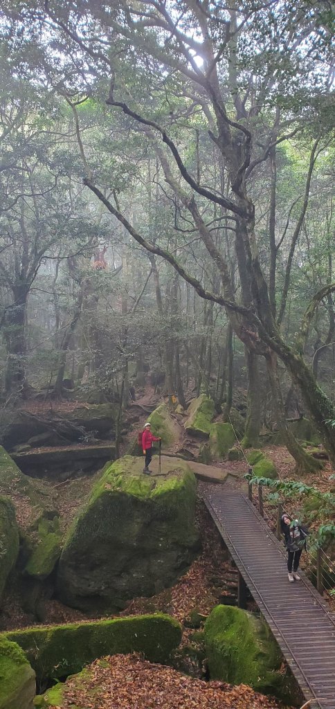 哈加縱走_2991928