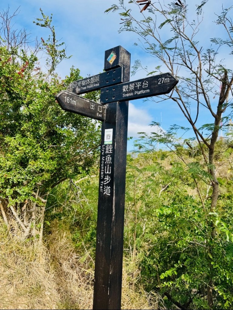 走逛台東 Day 2 鯉魚山步道 走走都蘭山步道1+K_3006876