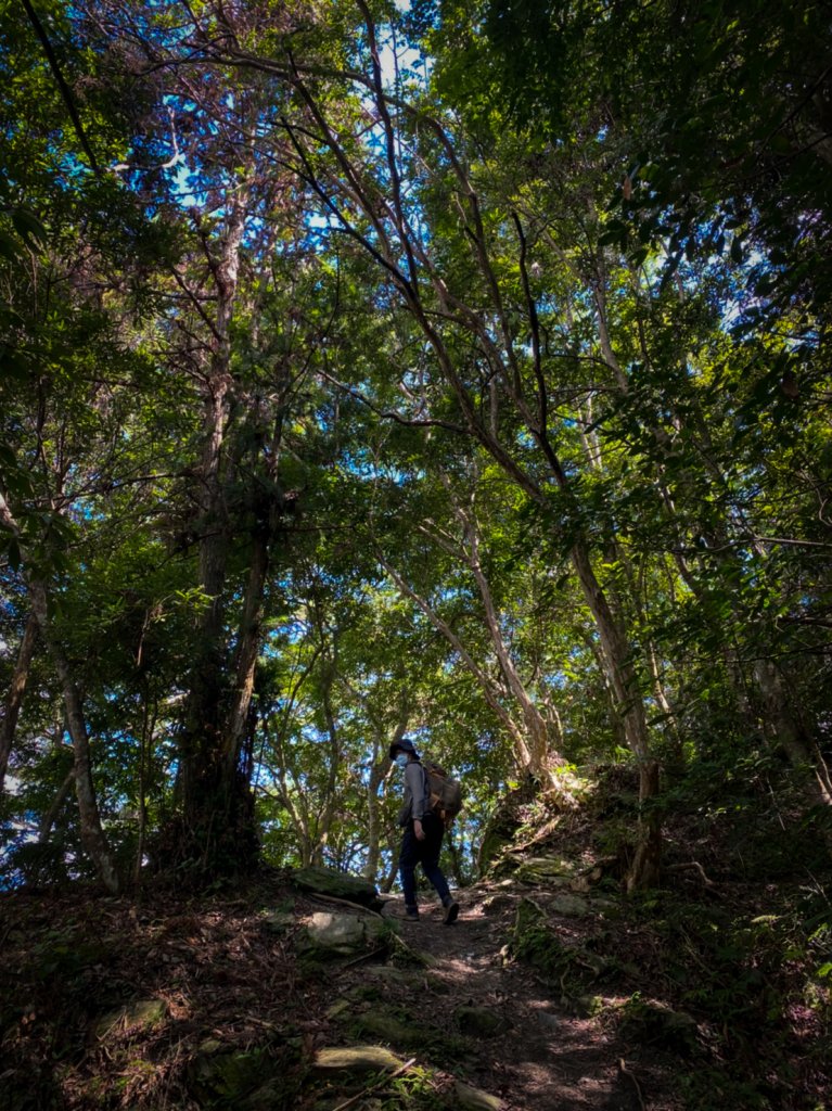 【八通關越嶺道東段】瓦拉米（Walami）_1454762