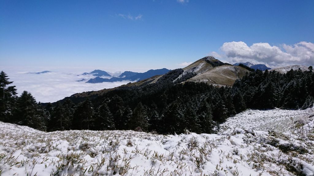 2018/3/9 奇萊南華雪景_285709