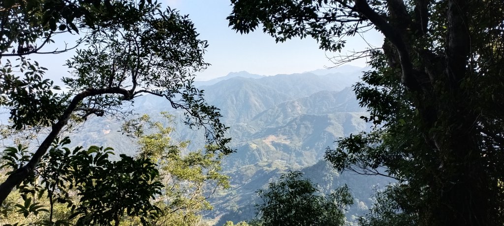 20240224_馬那邦山、細道邦山步道_2436121