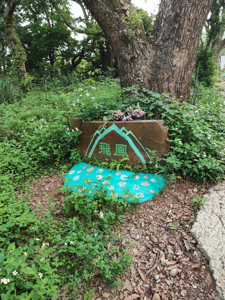 飛鳳山、觀日坪古道封面圖