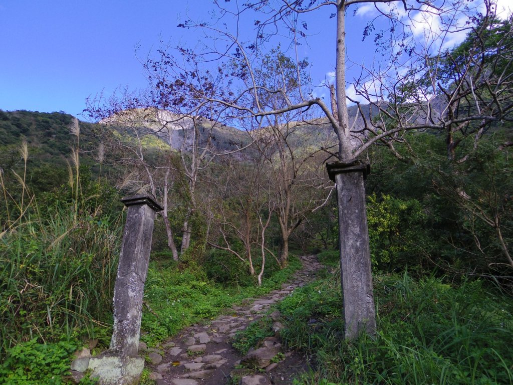 追憶 錐麓古道_2481974