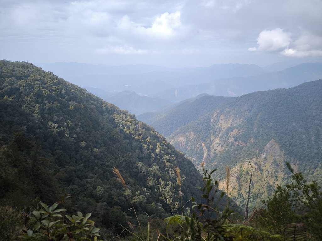 2026-01-18 埔里關刀山_2989591