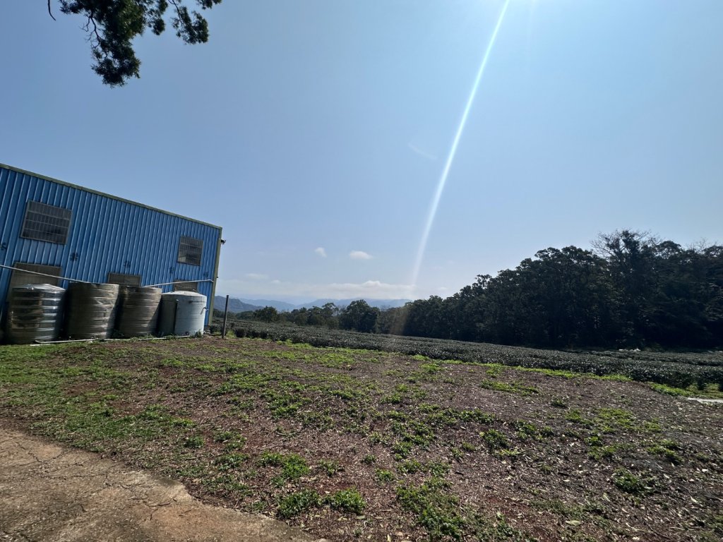 挑炭古道｜三通嶺古道_2730440