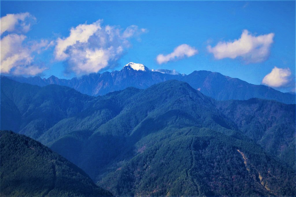 千櫻園 • 滿園粉紅棉花糖掛樹稍_1620737