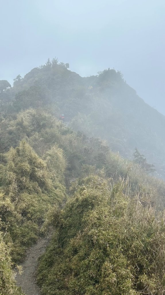 南橫三星_2977936